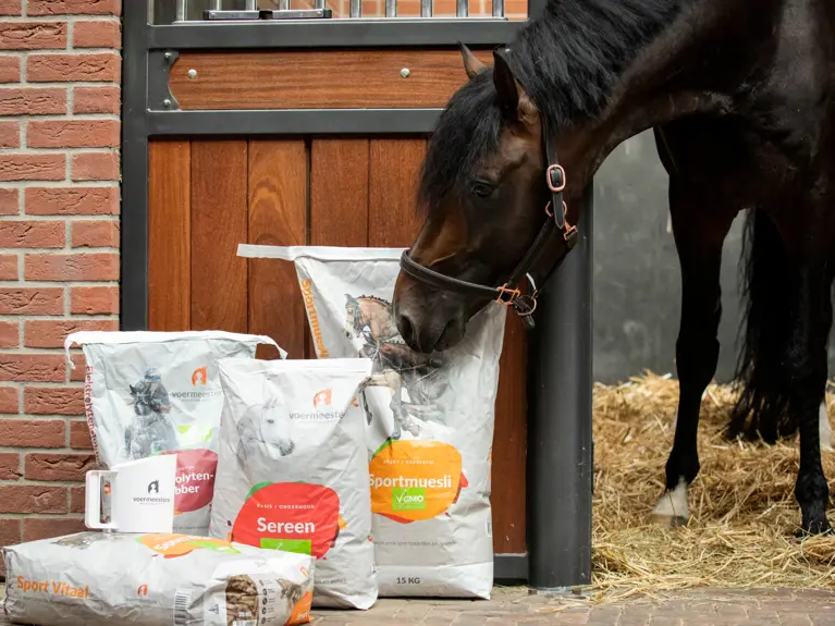 Bruin paard in een stal met stro met verschillende zakken voer van Voermeesters: Sport Vitaal, Sereen, Elektrolytenslobber en Sportmuesli