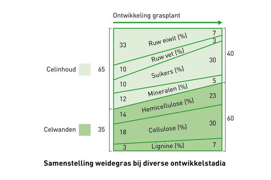 Samenstelling weidegras bij diverse ontwikkelstadia