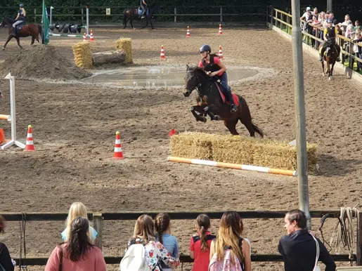 Manege de Schimmelkroft - springwedstrijd