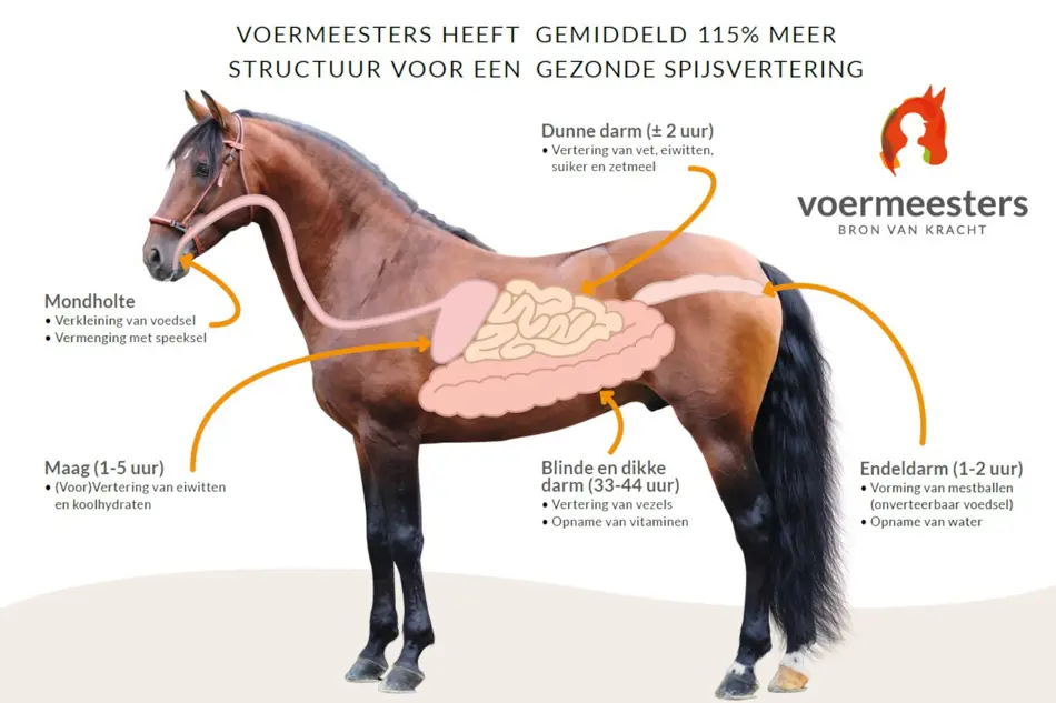 Maalfijnheden Voermeesters en voermerk A