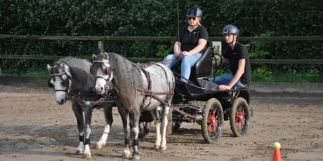 Uniek Voerbeleid Met Voermeesters Op Manege De Schimmelkroft