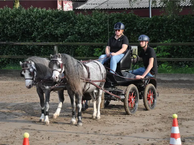 Uniek Voerbeleid Met Voermeesters Op Manege De Schimmelkroft