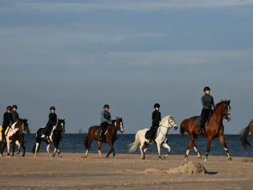 Manege De Schimmelkroft Voert Voermeesters Strandrit